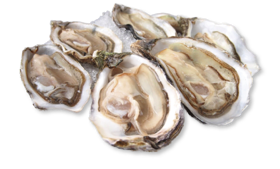 Ierse oesters